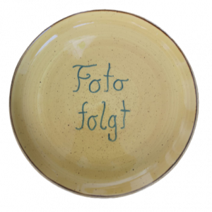 SÜSSKARTOFFEL-POMMES